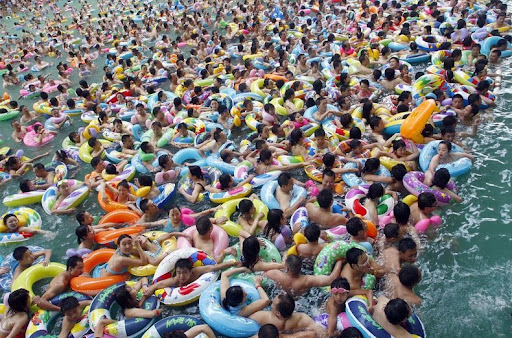 asians in pool Asians in pool